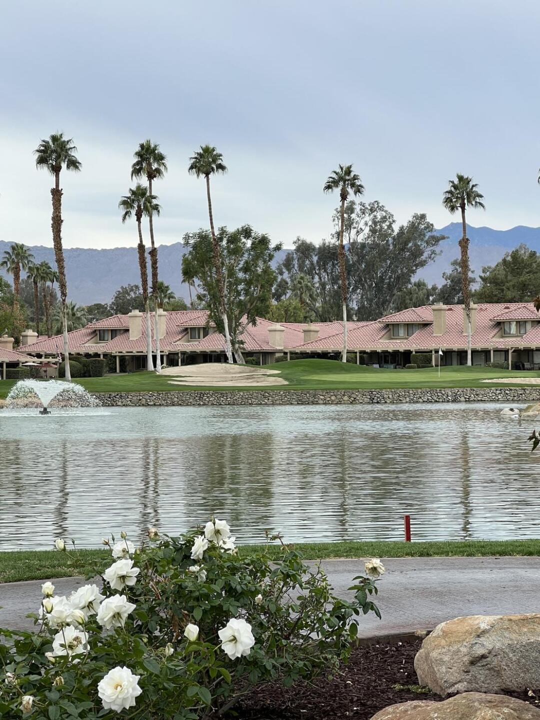 (Photo submitted by dpaettie on 12/05/2022)