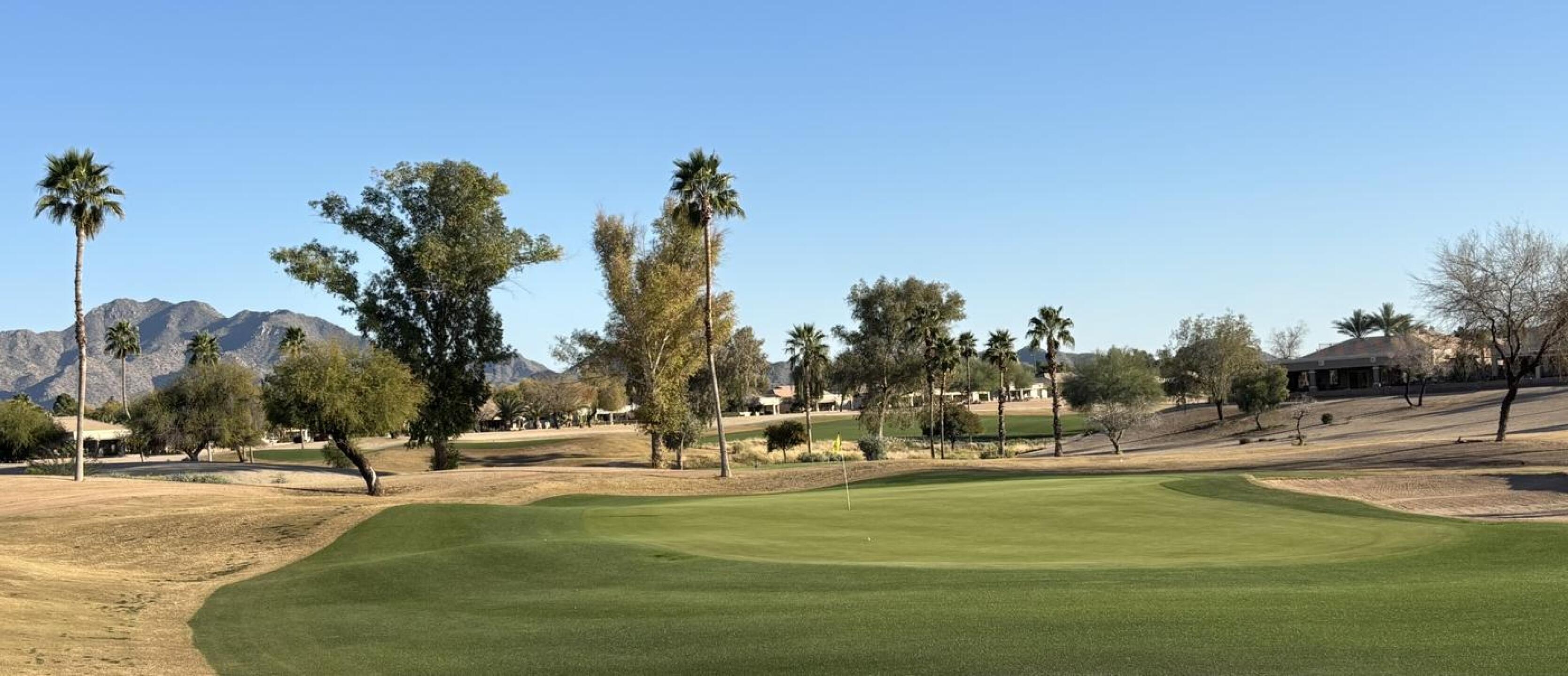 An example of the quality views and conditions at Lone Tree. (Photo submitted by xkQQOHwQfBQdQ6PQvDoQ on 02/06/2026)