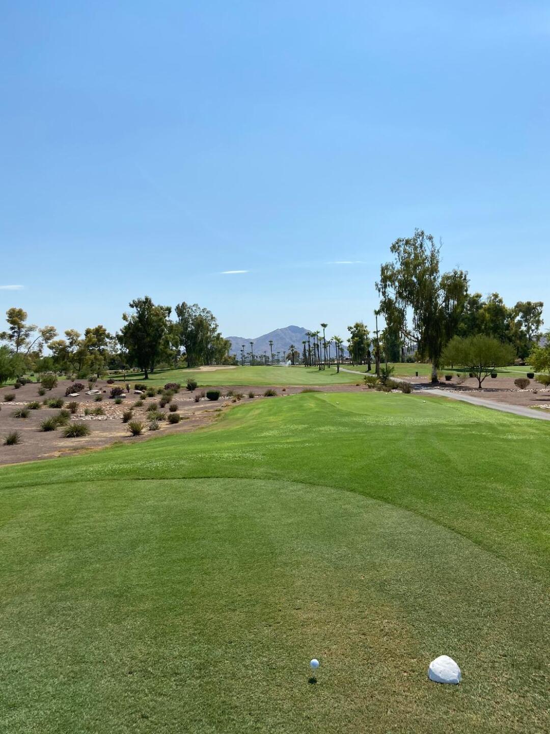 (Photo submitted by JtxD1 on 08/17/2020)