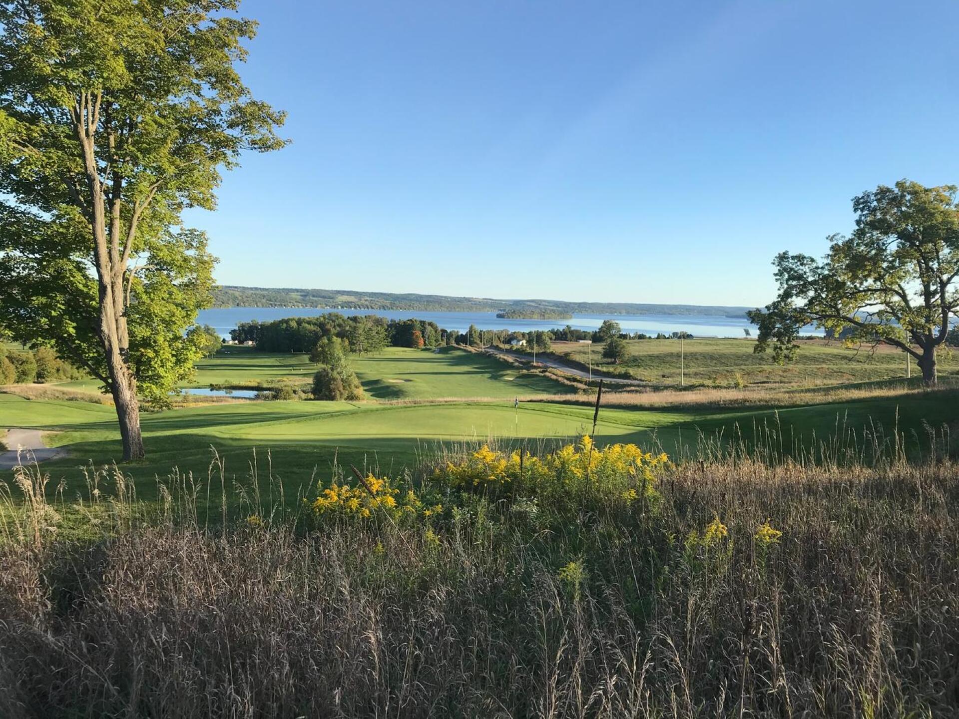 (Photo submitted by Rose6438655 on 09/20/2020)