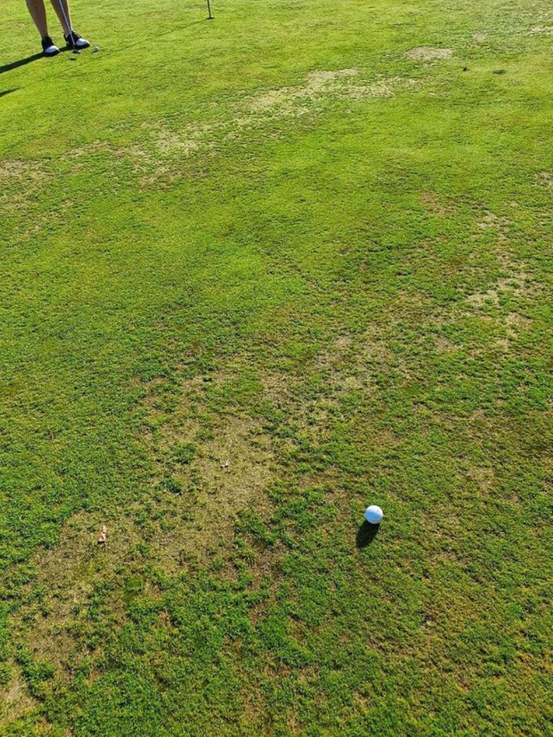 (Photo submitted by u314160402098 on 07/12/2020)