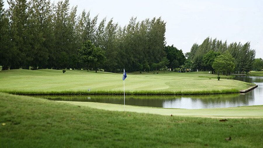 The Pine Golf & Lodge: #17