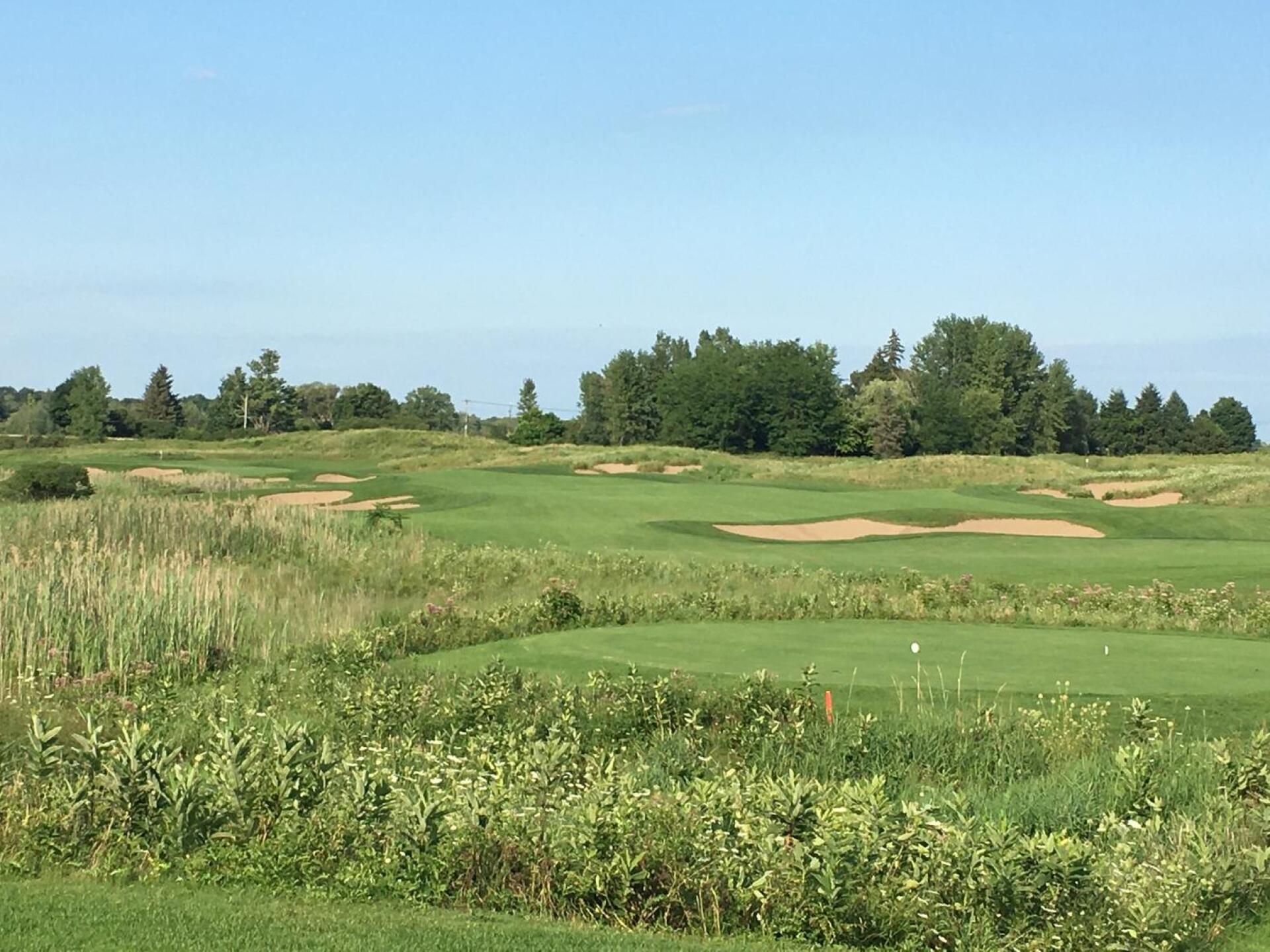 (Photo submitted by Torodeleste on 09/01/2020)