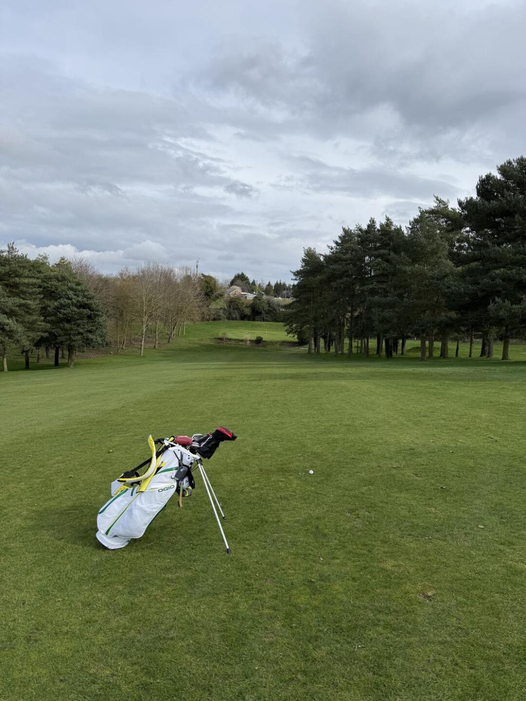 (Photo submitted by PkpMmVH9rgVG46nF0jVI on 03/10/2026)