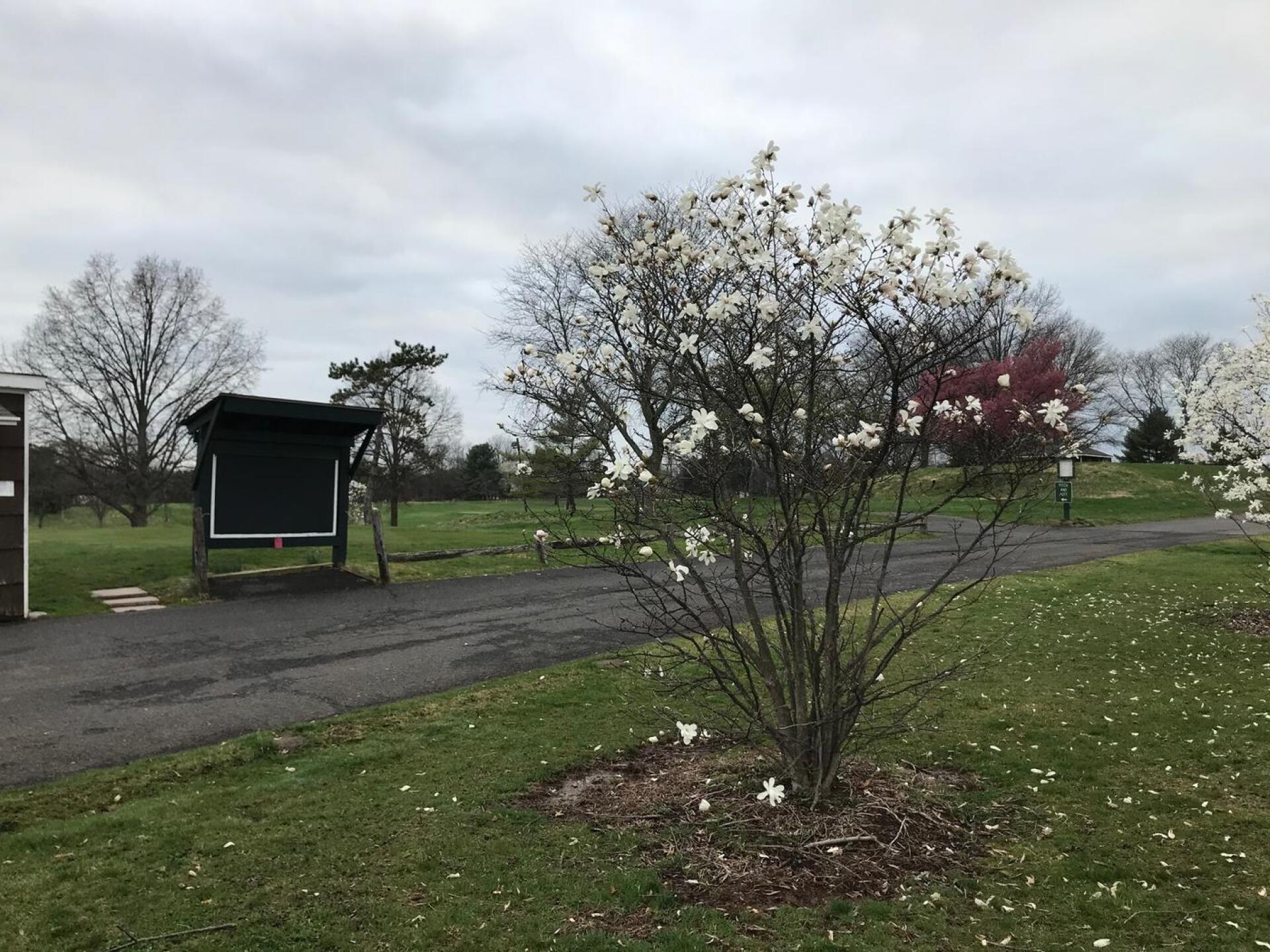 (Photo submitted by AlaaJaber on 05/03/2020)