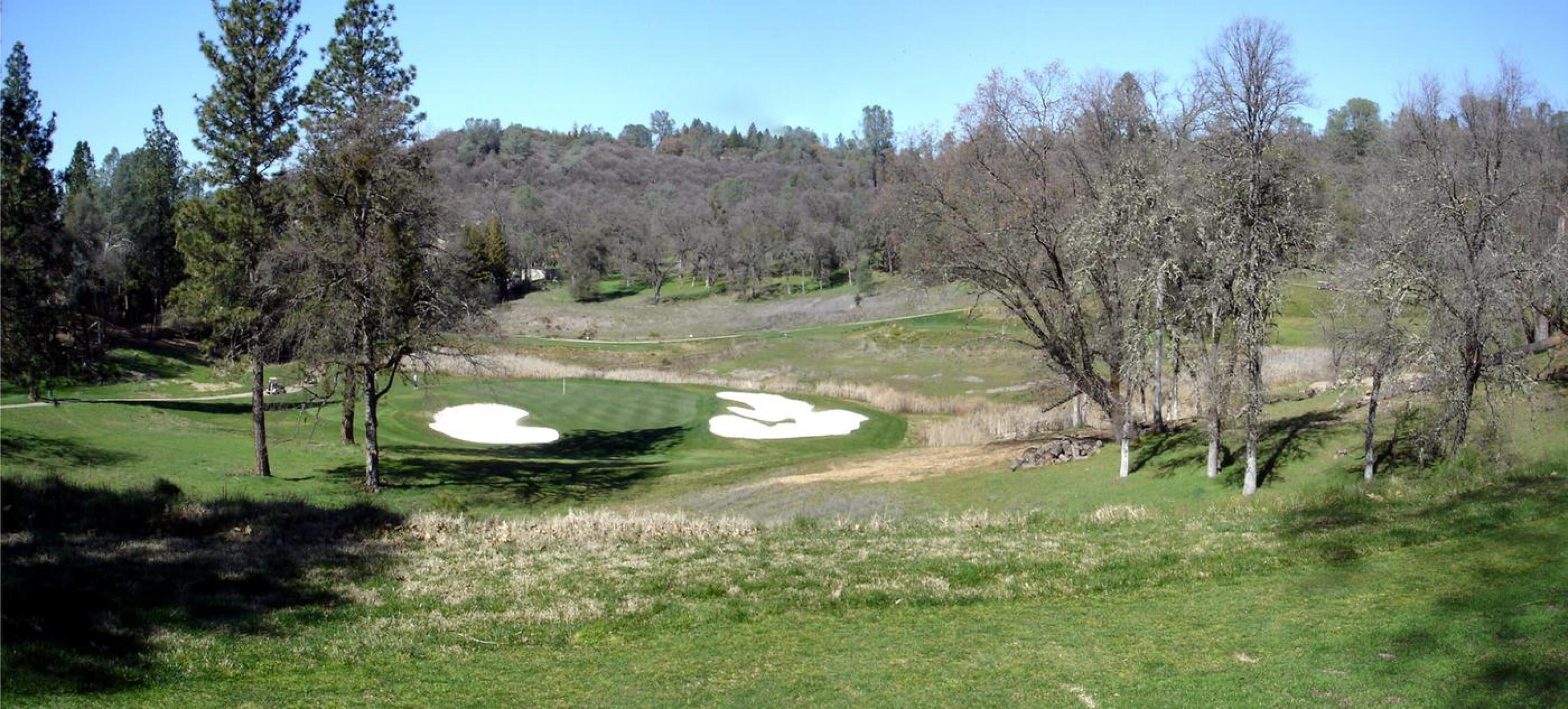 Dark Horse GC, Hole 13, Par 3, 184 yds (Photo submitted by DYakimec on 03/16/2020)