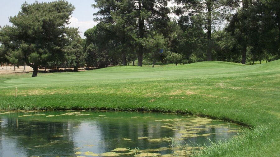 Paradise Knolls: #5