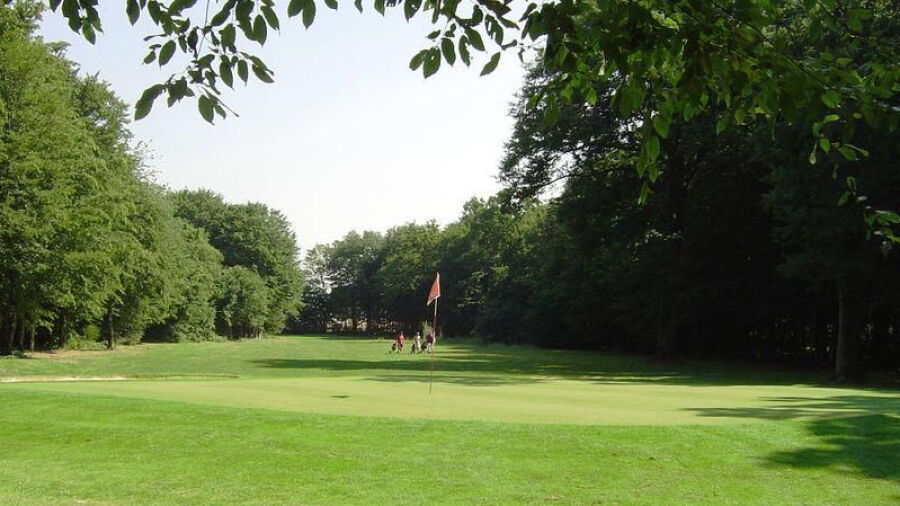 Sarrays GC