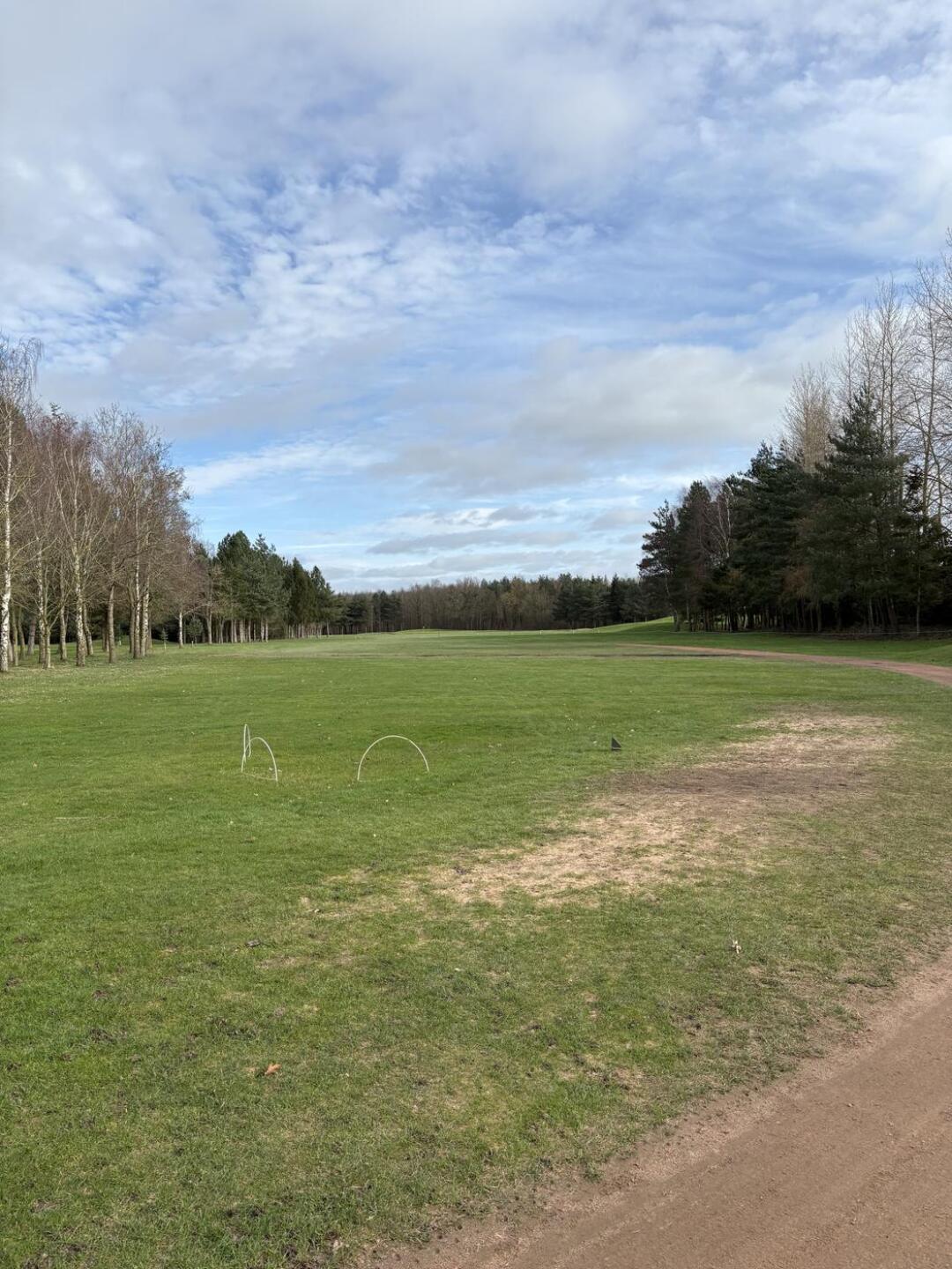 (Photo submitted by stevebrett2025 on 03/02/2026)