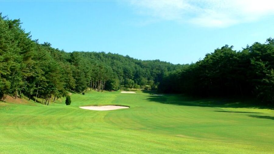 Green Birds GC
