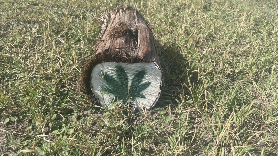 Pedernales Golf Club - Willie Nelson's Cut-N-Putt golf course - tee marker
