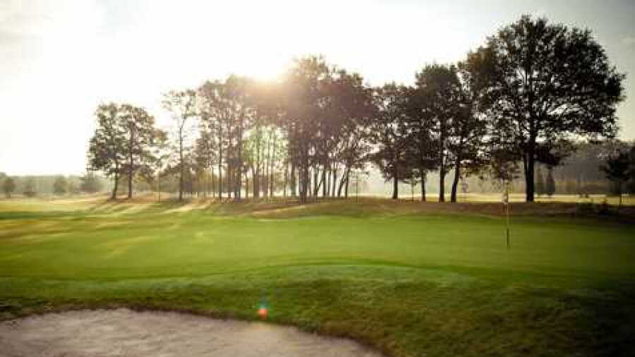 Goyer GCC