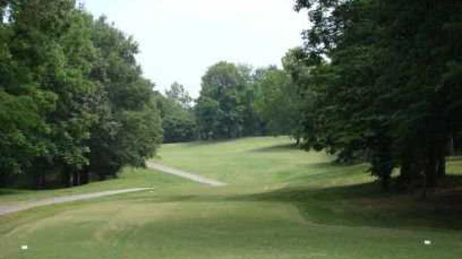 Walnut Wood GC: #7