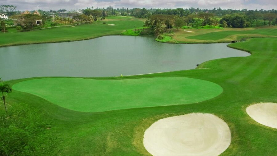 Royal Sumatra GCC: #18