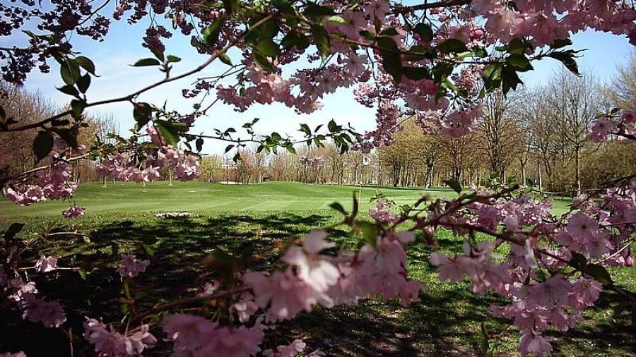 Ravensberger Land GC: #9