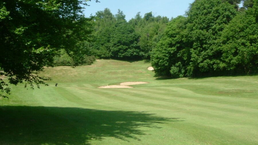 Dogleg