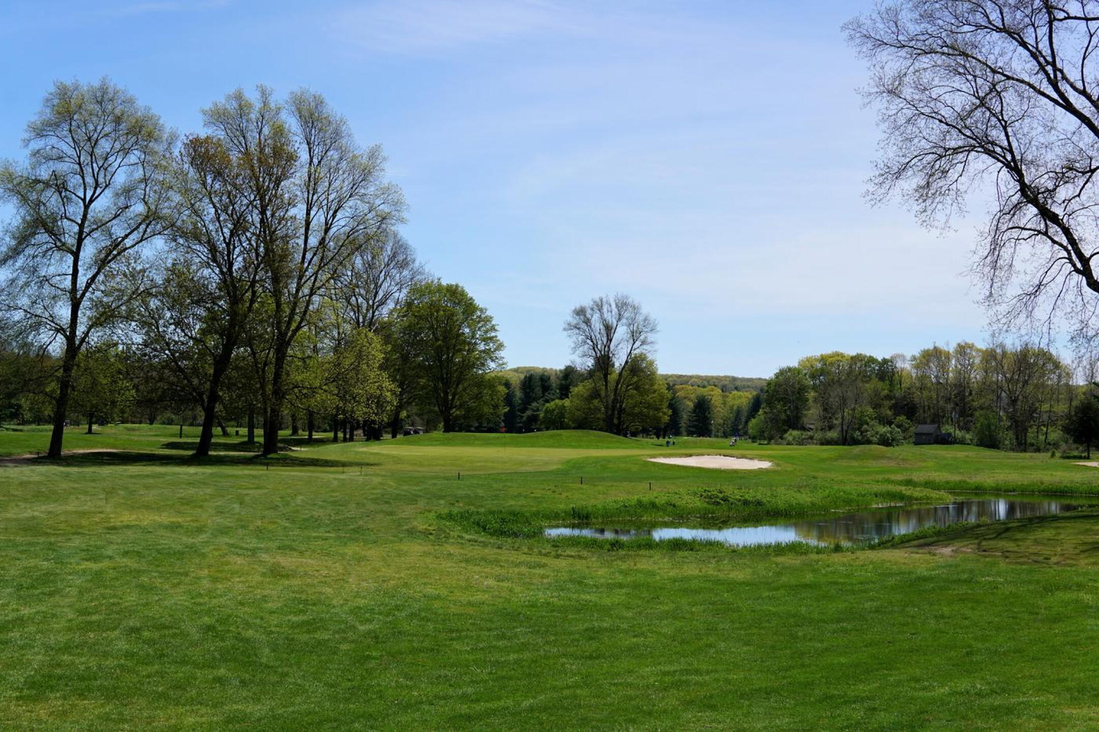 The sixth’s dogleg is closely guarded by tall trees; the fairway concludes–as shown here–on a raised green. (Photo submitted by AptlyLinked on 05/09/2023)