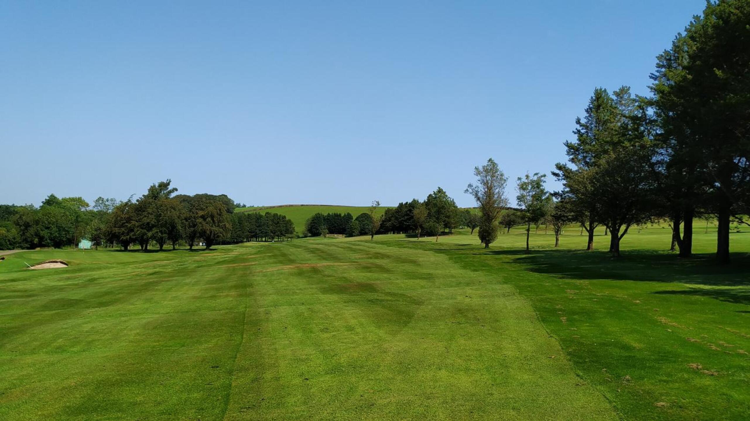 (Photo submitted by t178654297 on 07/26/2019)