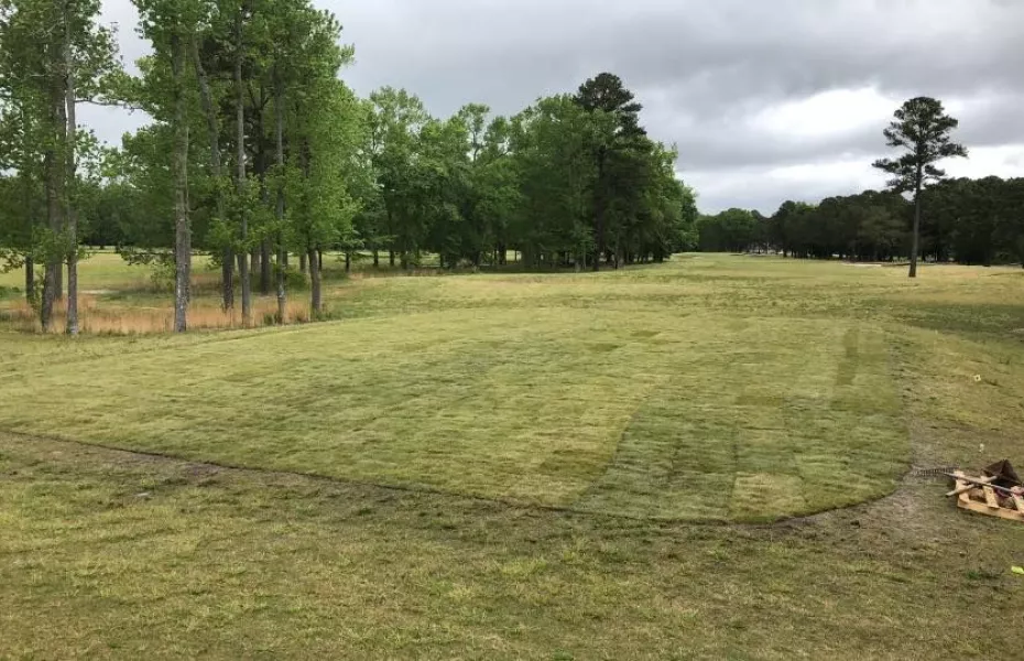 Aeropines GC - Hornet: #18