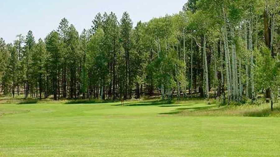 Alpine CC: #8