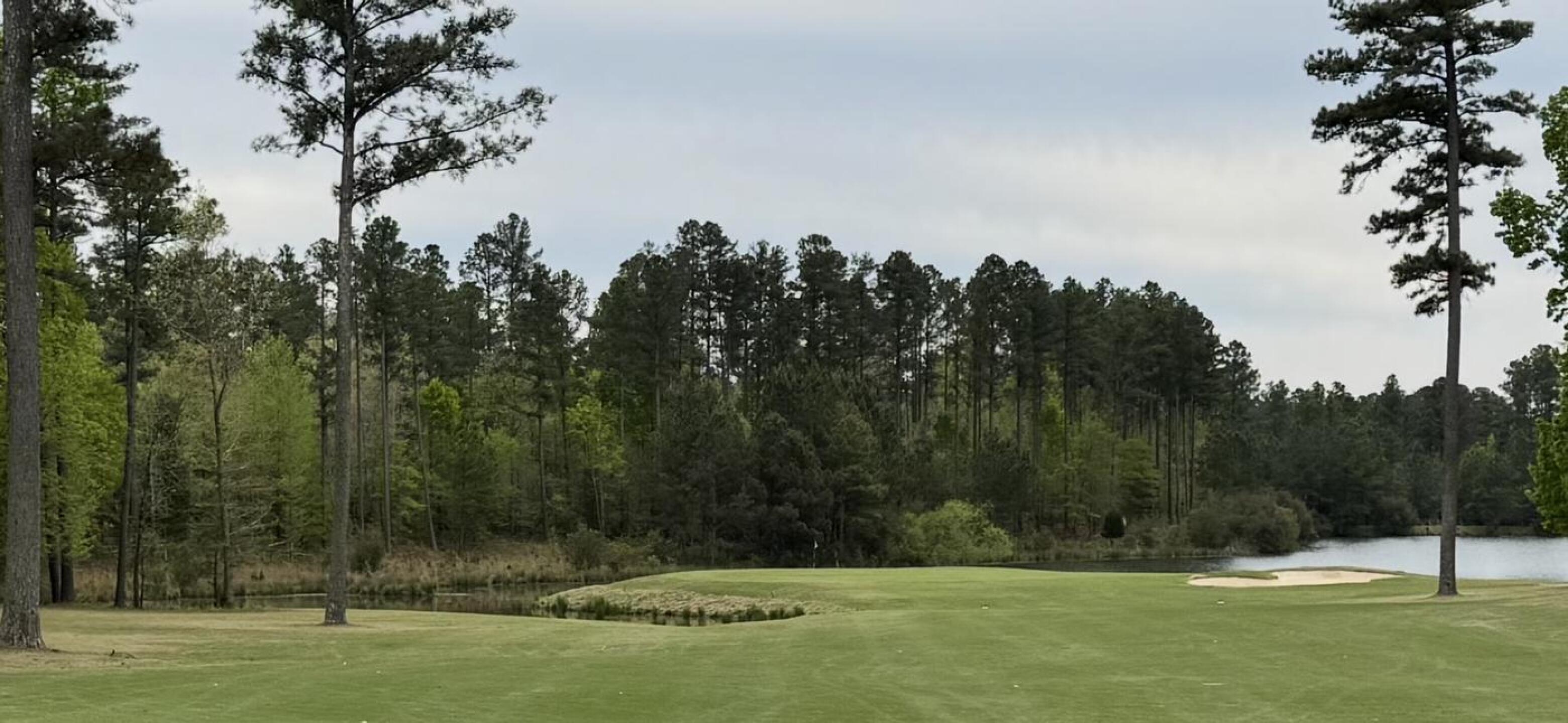 (Photo submitted by u000006356155 on 04/06/2026)