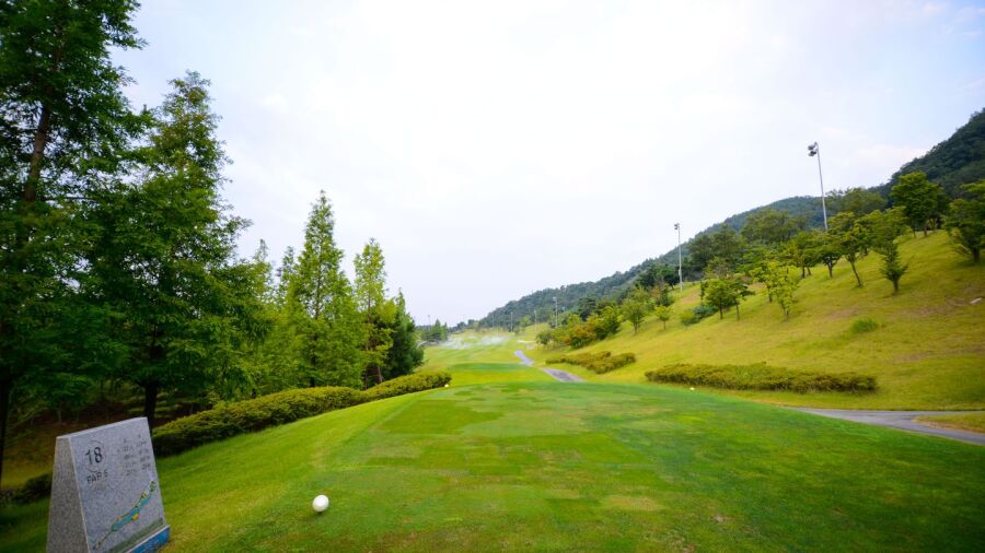 Palmy Hills CC - East: #18