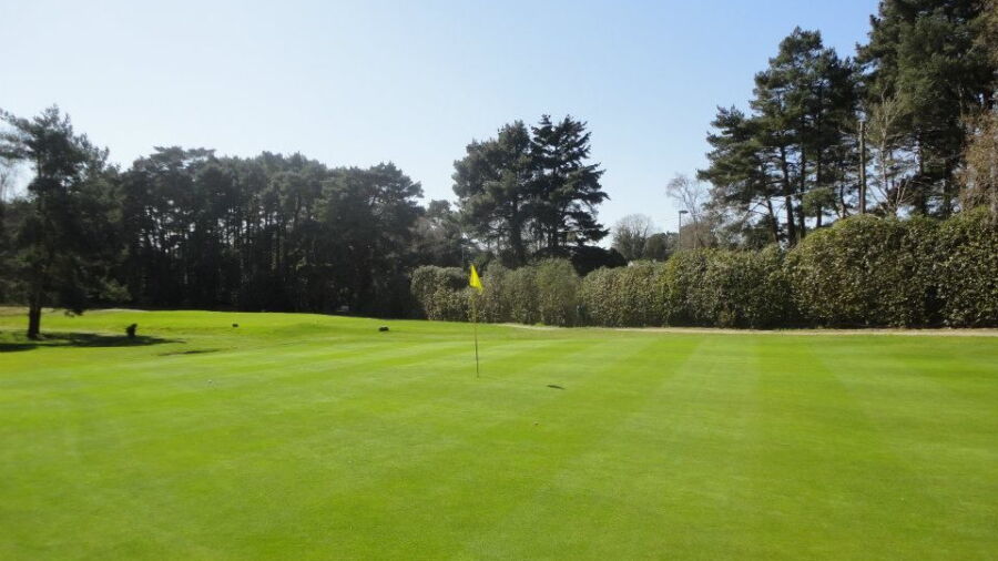 Ferndown GC - Old: #3