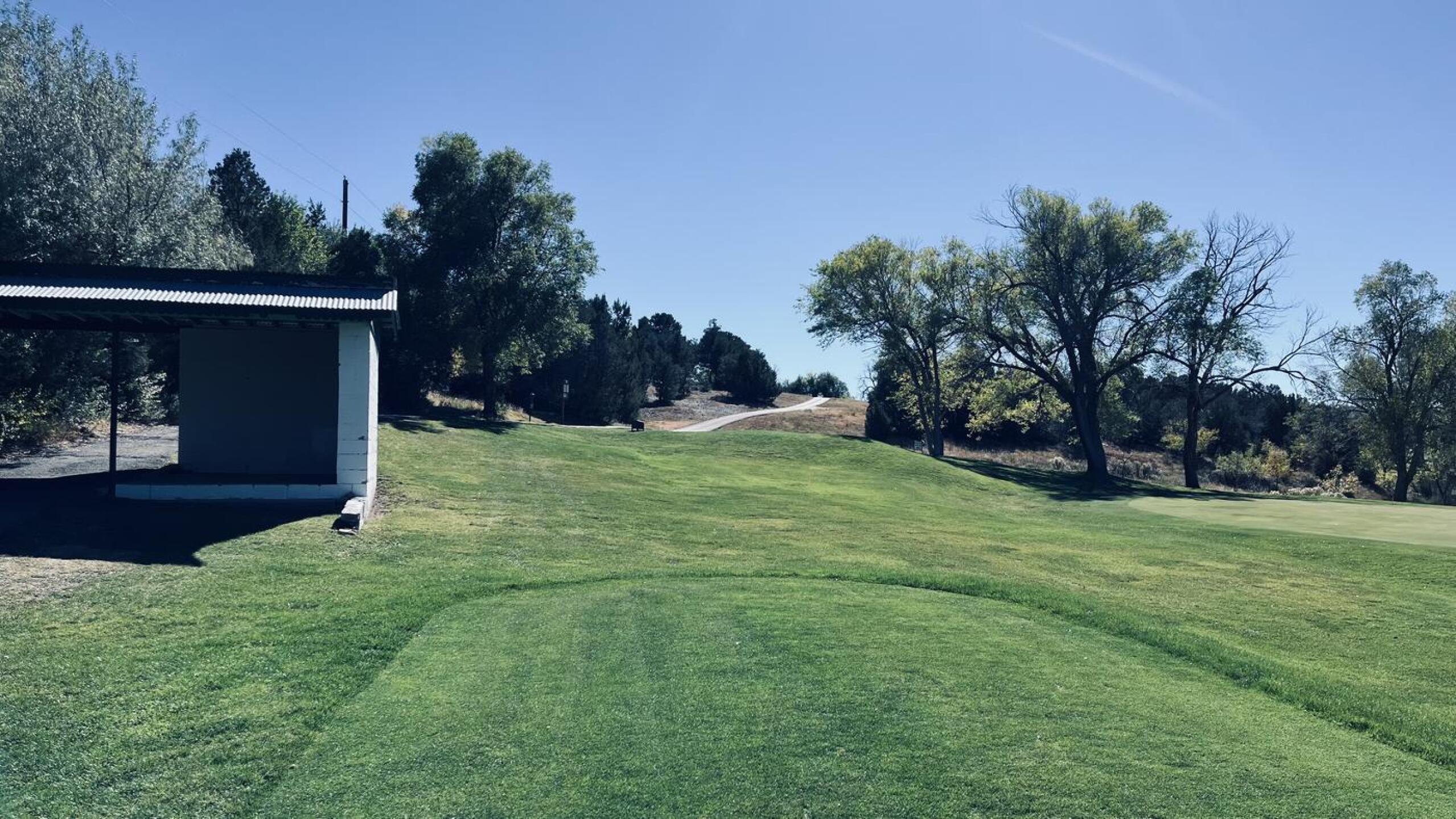 (Photo submitted by UUuPsc2jgLSdMs01QwRv on 10/24/2024)