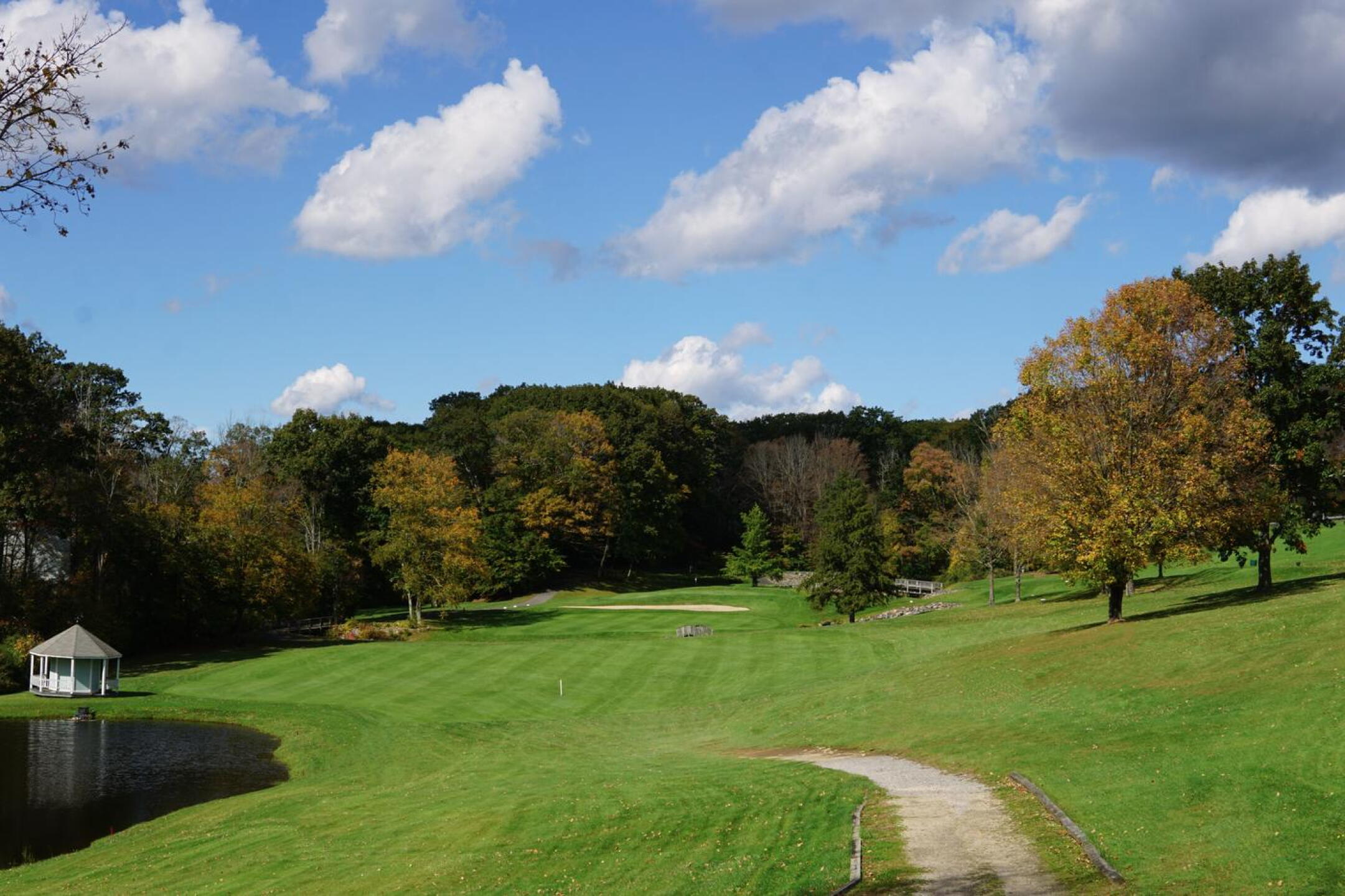 The eighth hole looks inviting from its raised tee box. (Photo submitted by AptlyLinked on 10/10/2023)