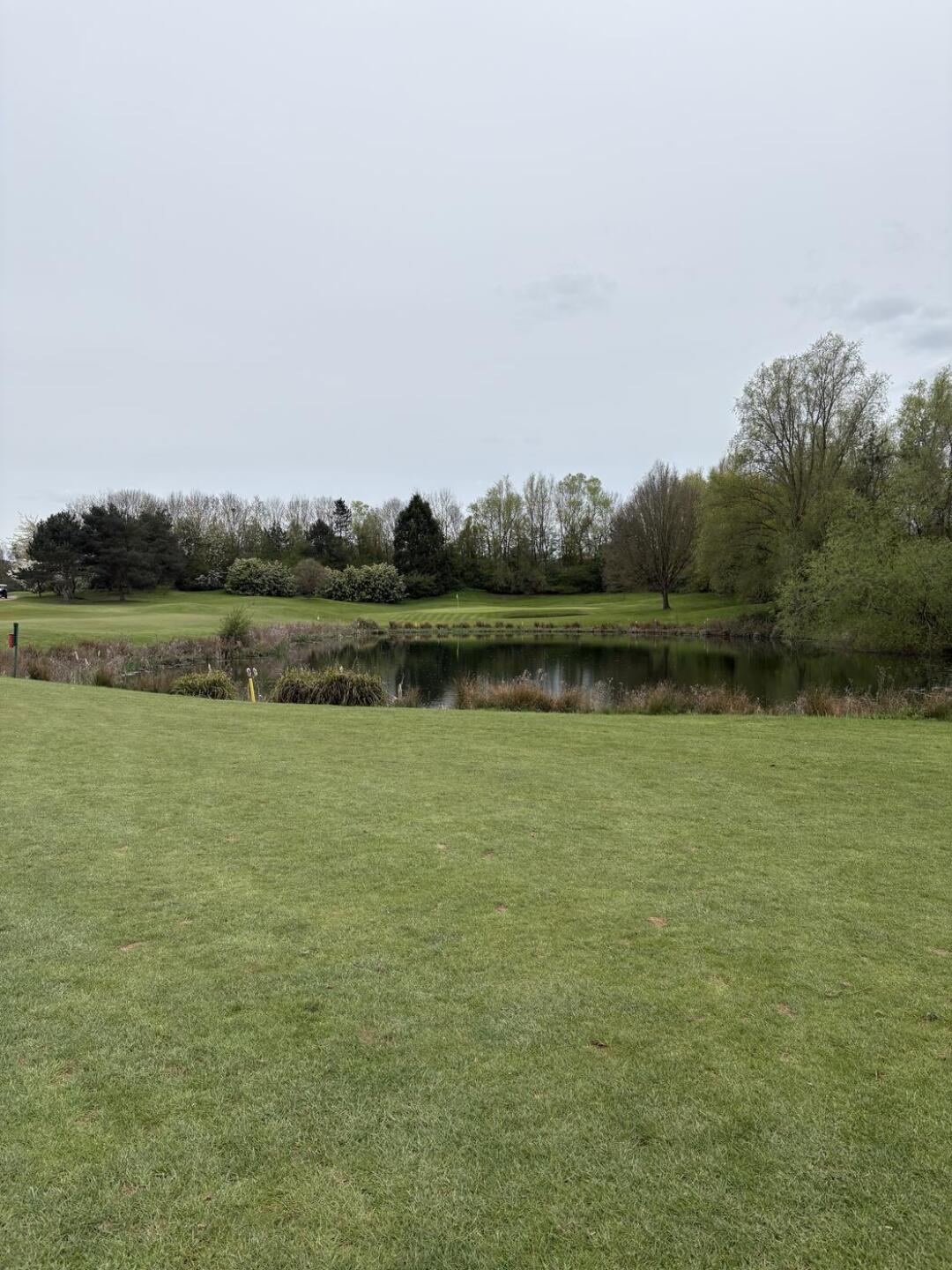 (Photo submitted by SeanGrigg on 04/18/2026)