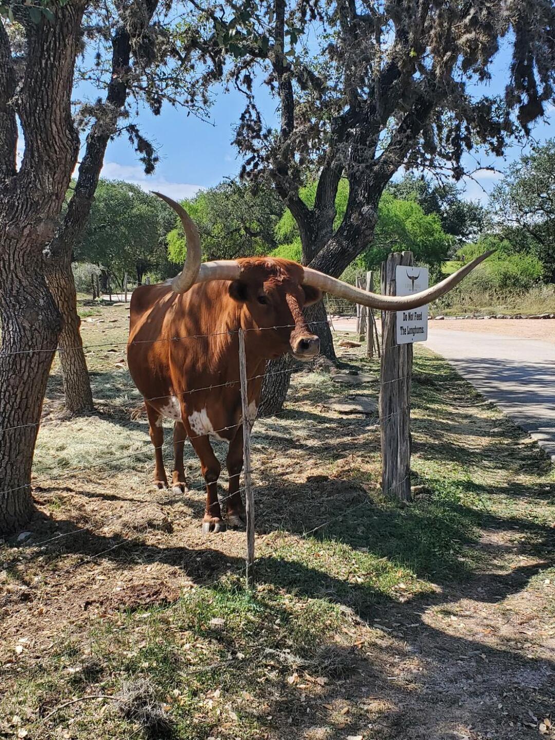 (Photo submitted by bscheema on 10/08/2020)