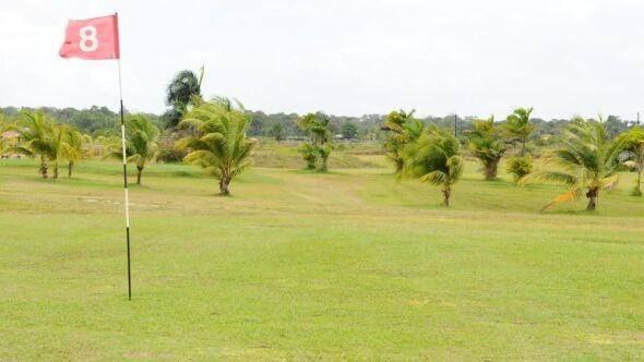 Golf Des 3 Collines: #8