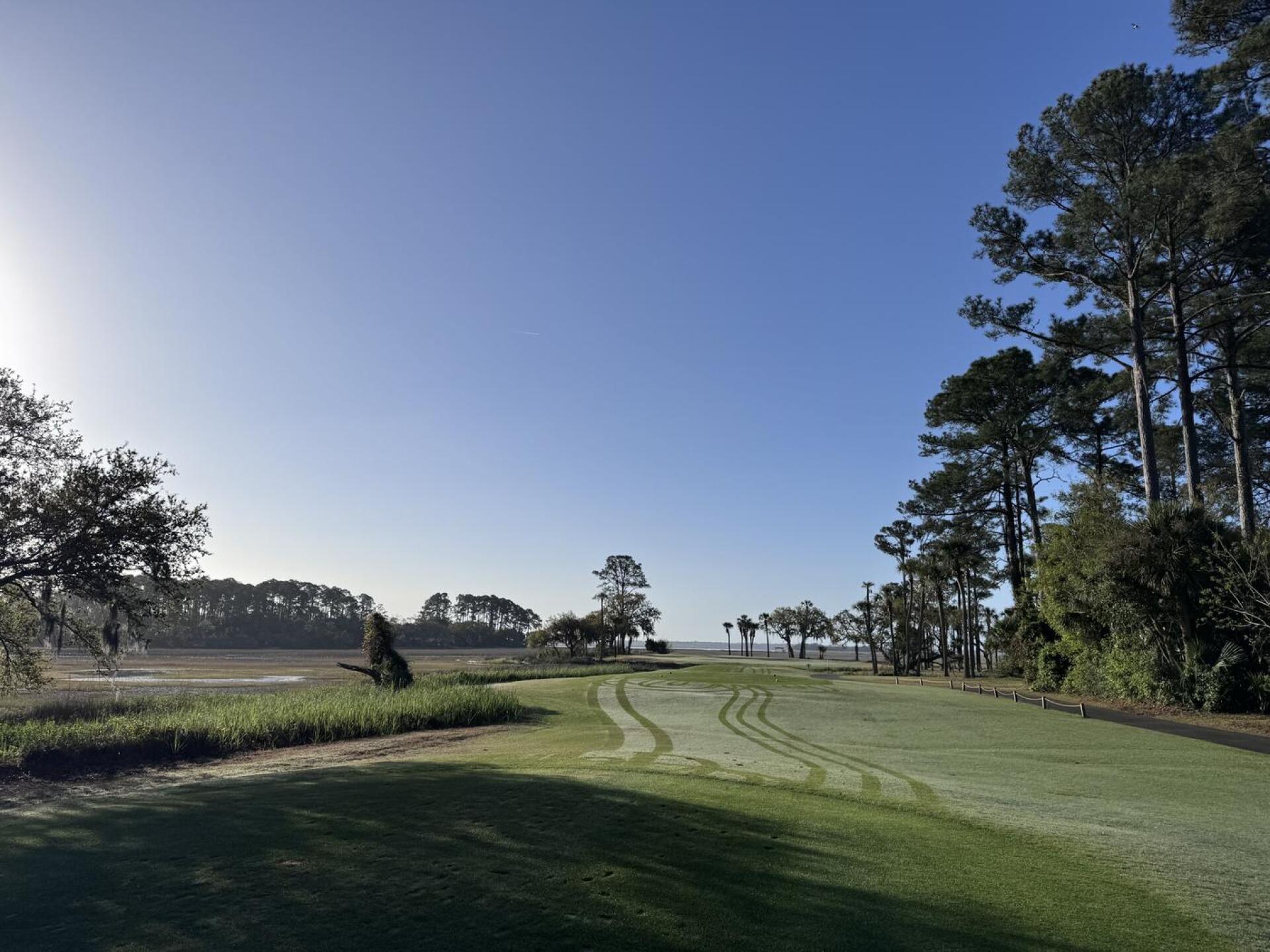 (Photo submitted by u468002134 on 03/31/2026)