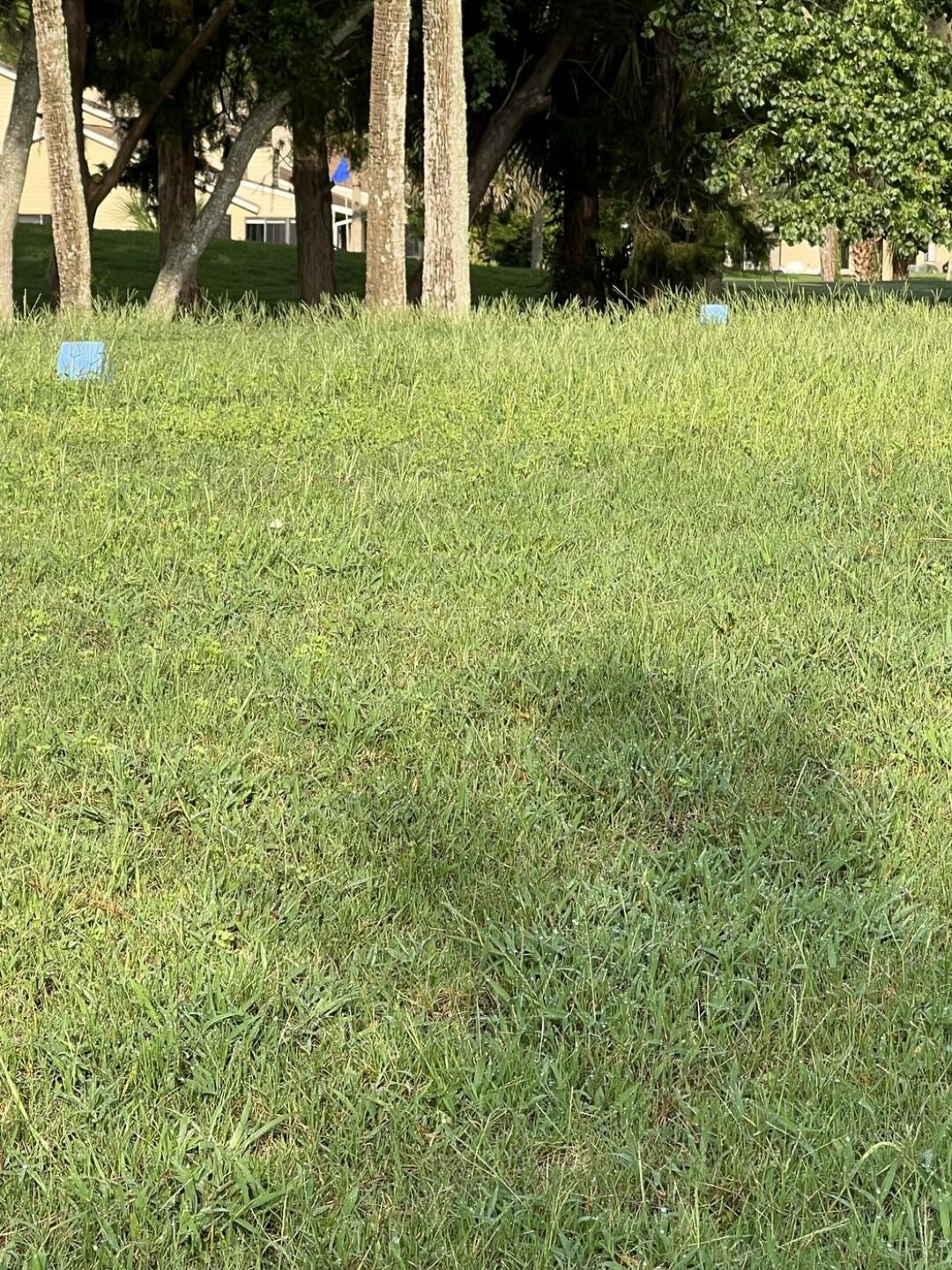 (Photo submitted by bbrickhouse on 06/19/2023)