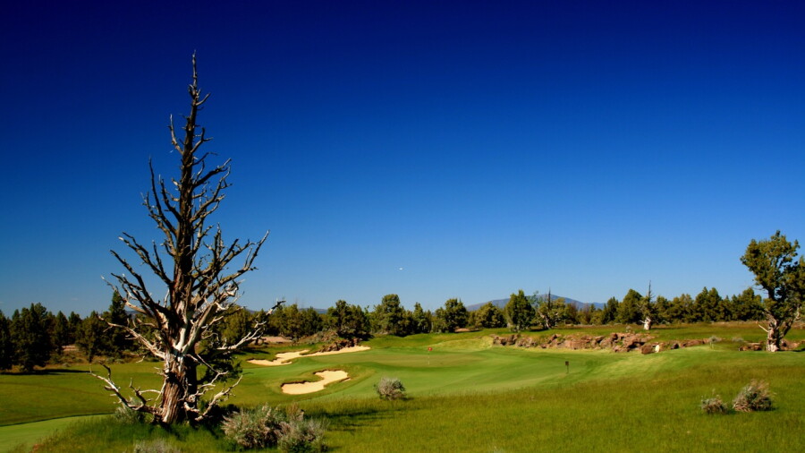 Pronghorn Golf Club - Fazio Course - ghost trees