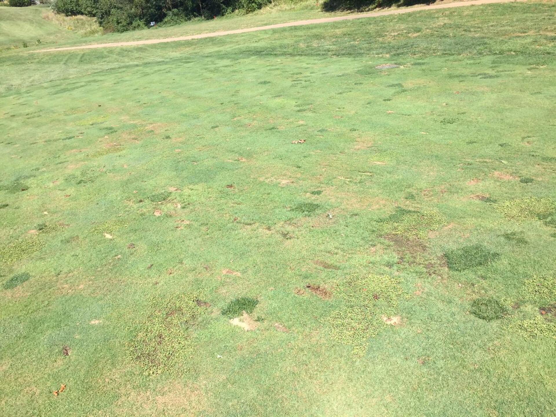 10th fairway (Photo submitted by chris1806909 on 09/22/2015)