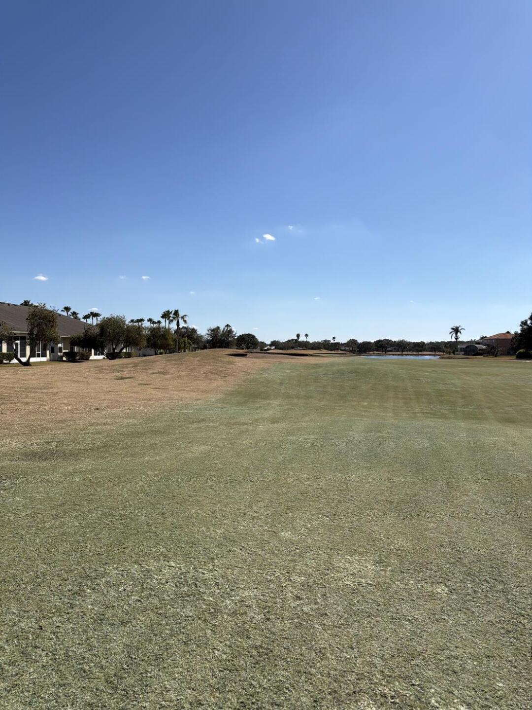 (Photo submitted by Mikeg910 on 02/09/2026)