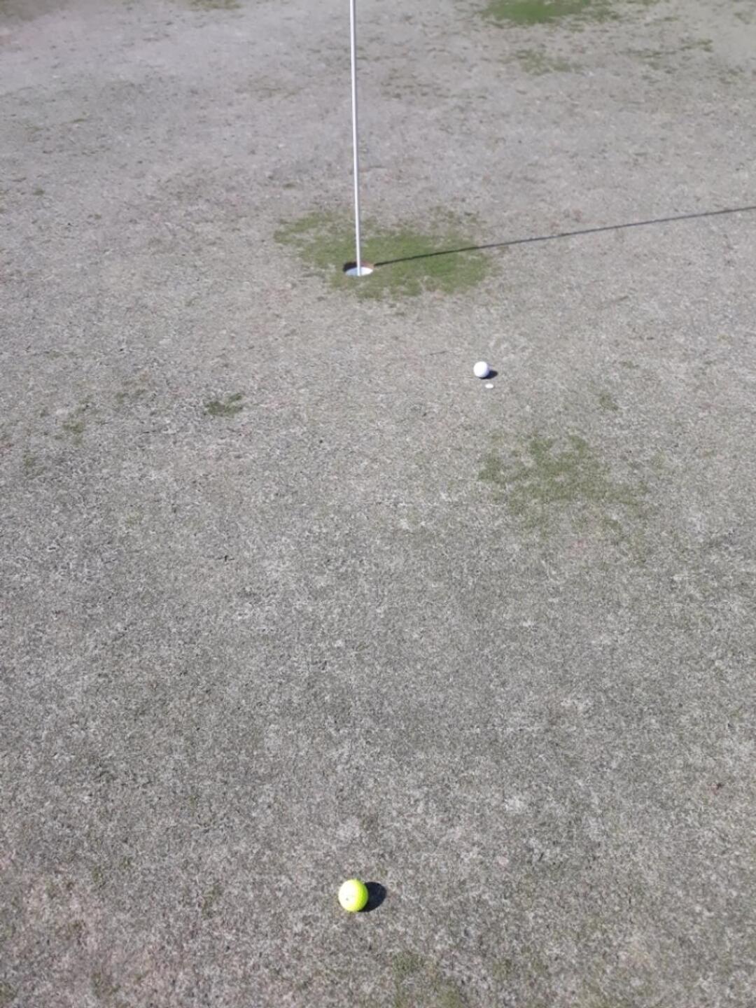 (Photo submitted by u155490176 on 04/11/2021)