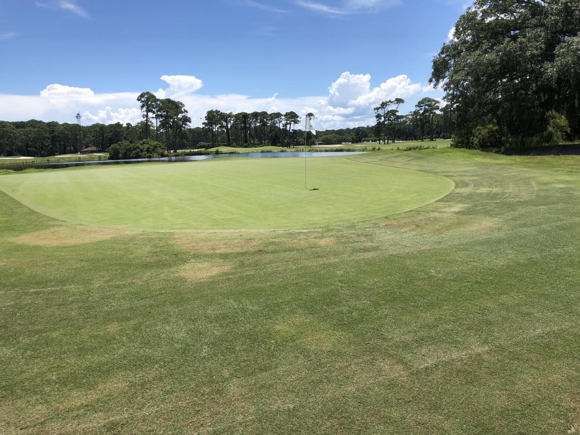 (Photo submitted by hondaman1 on 08/12/2021)