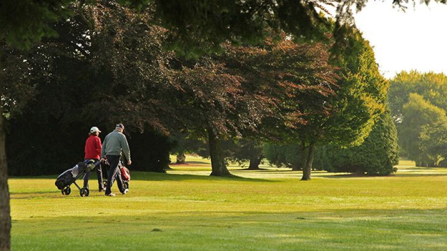 Exeter GCC