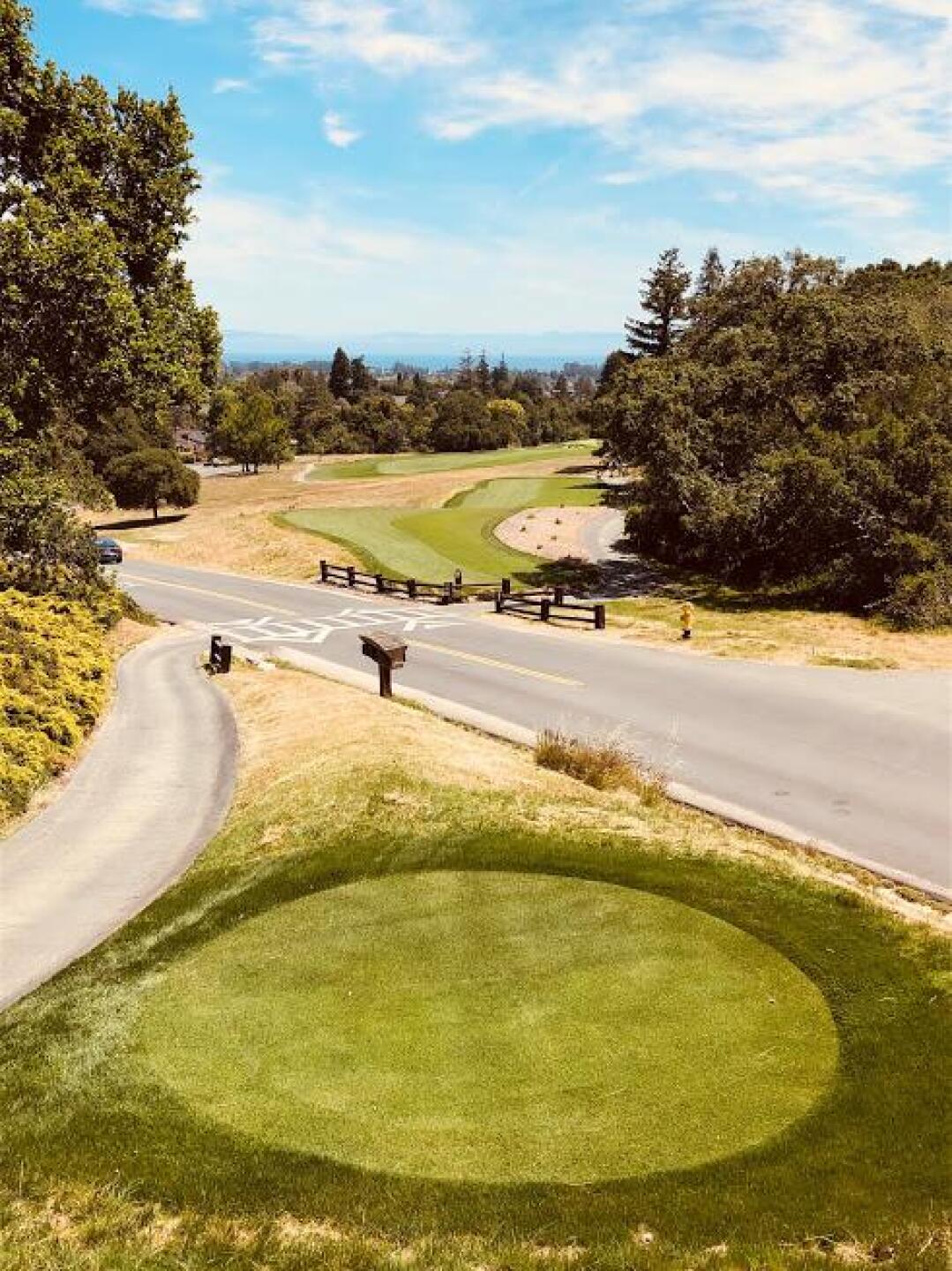 (Photo submitted by Gremlingolfer on 05/15/2019)