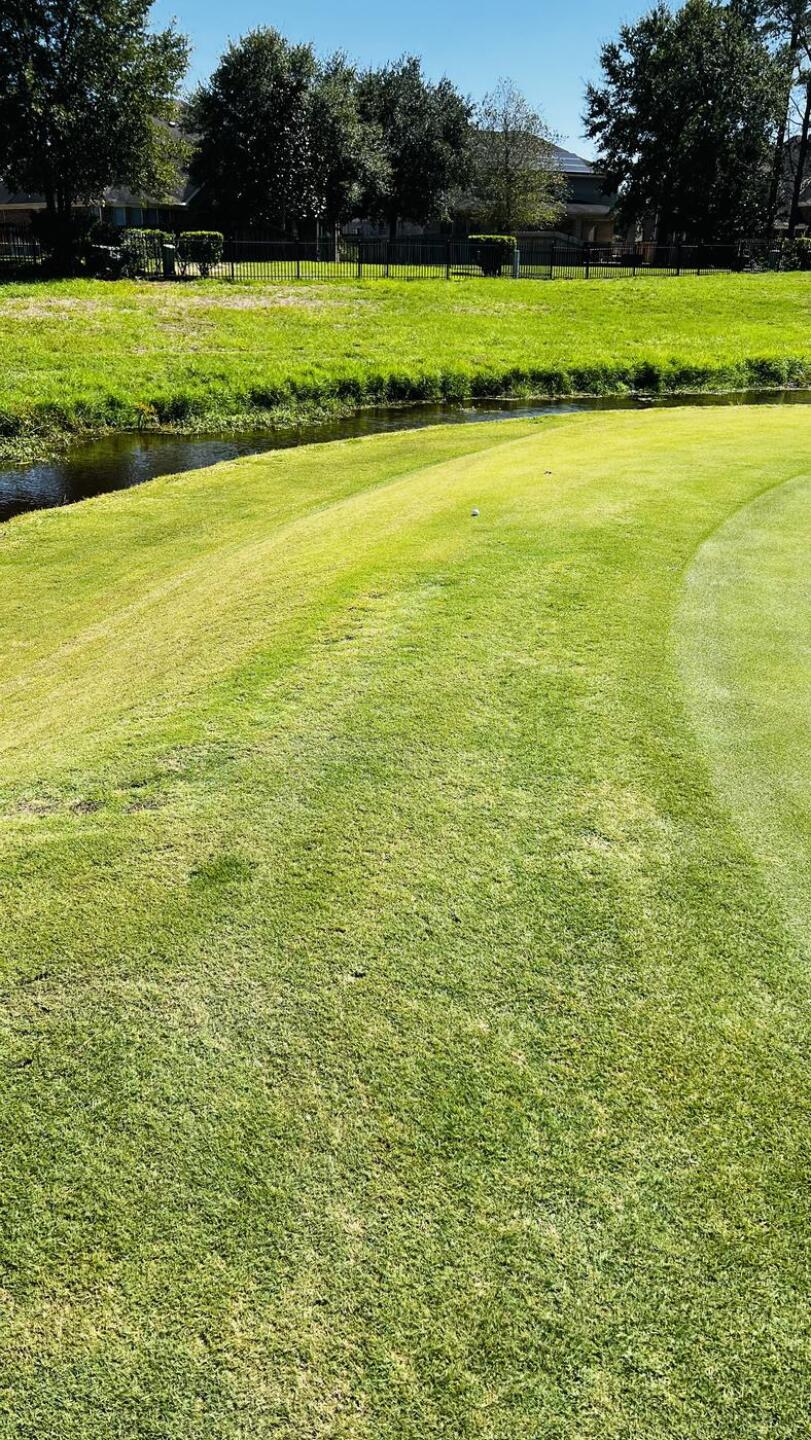 #16, don’t go long (Photo submitted by u314164604863 on 10/18/2023)