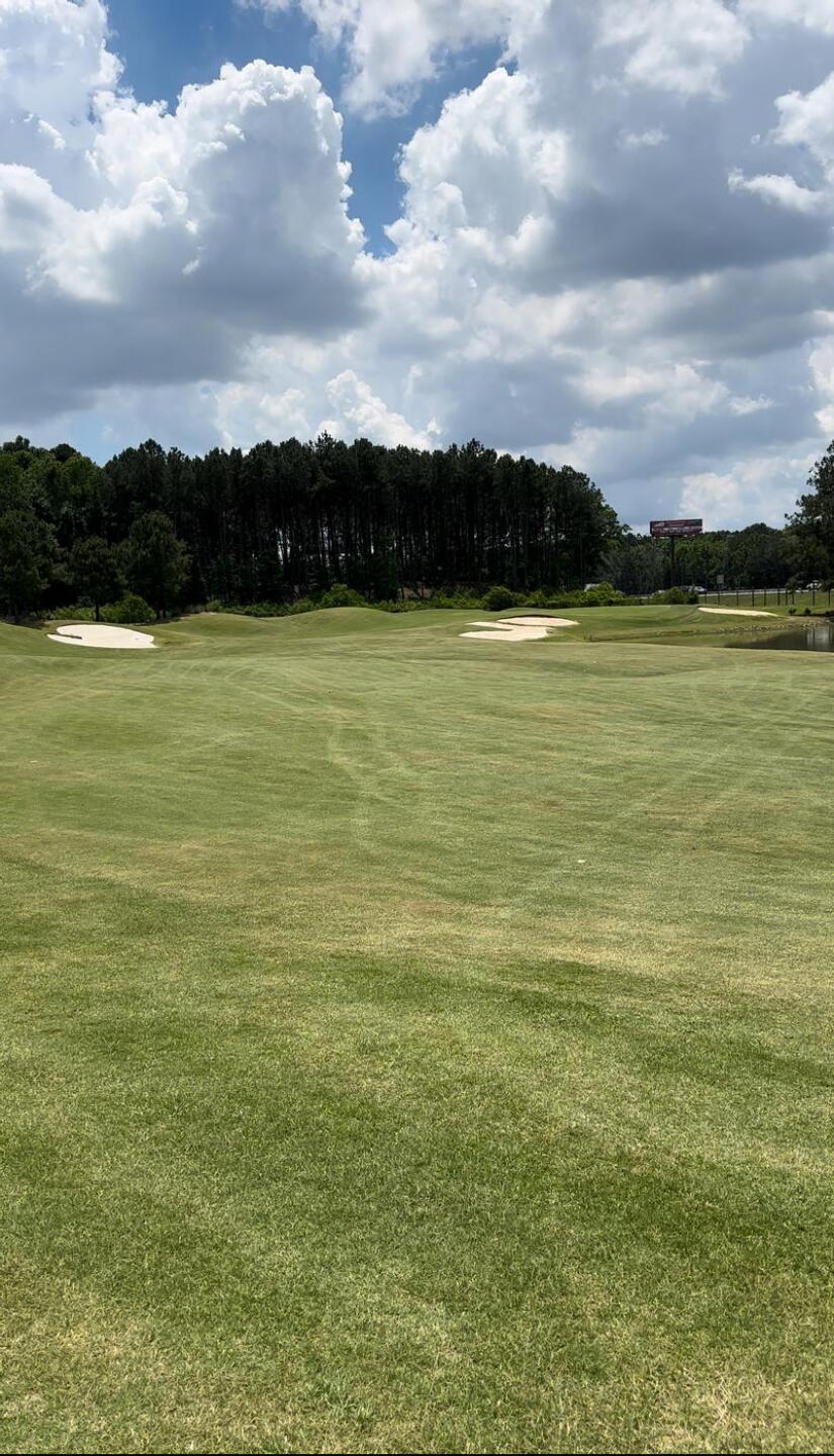 (Photo submitted by GMAC1986 on 05/02/2024)