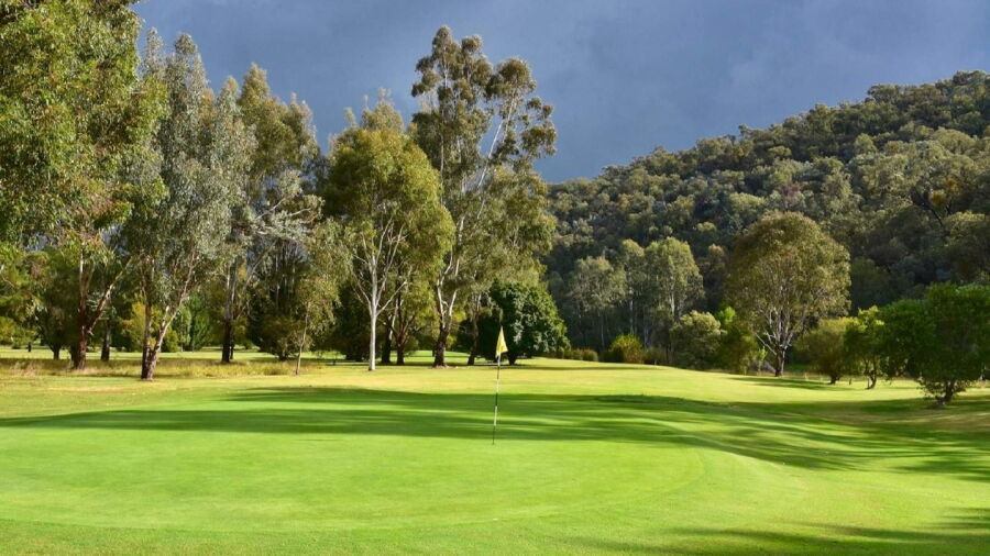 Myrtleford GC: #14