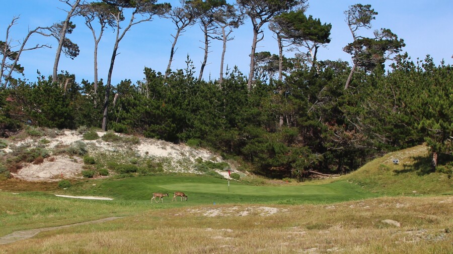 The Links at Spanish Bay - hole 4