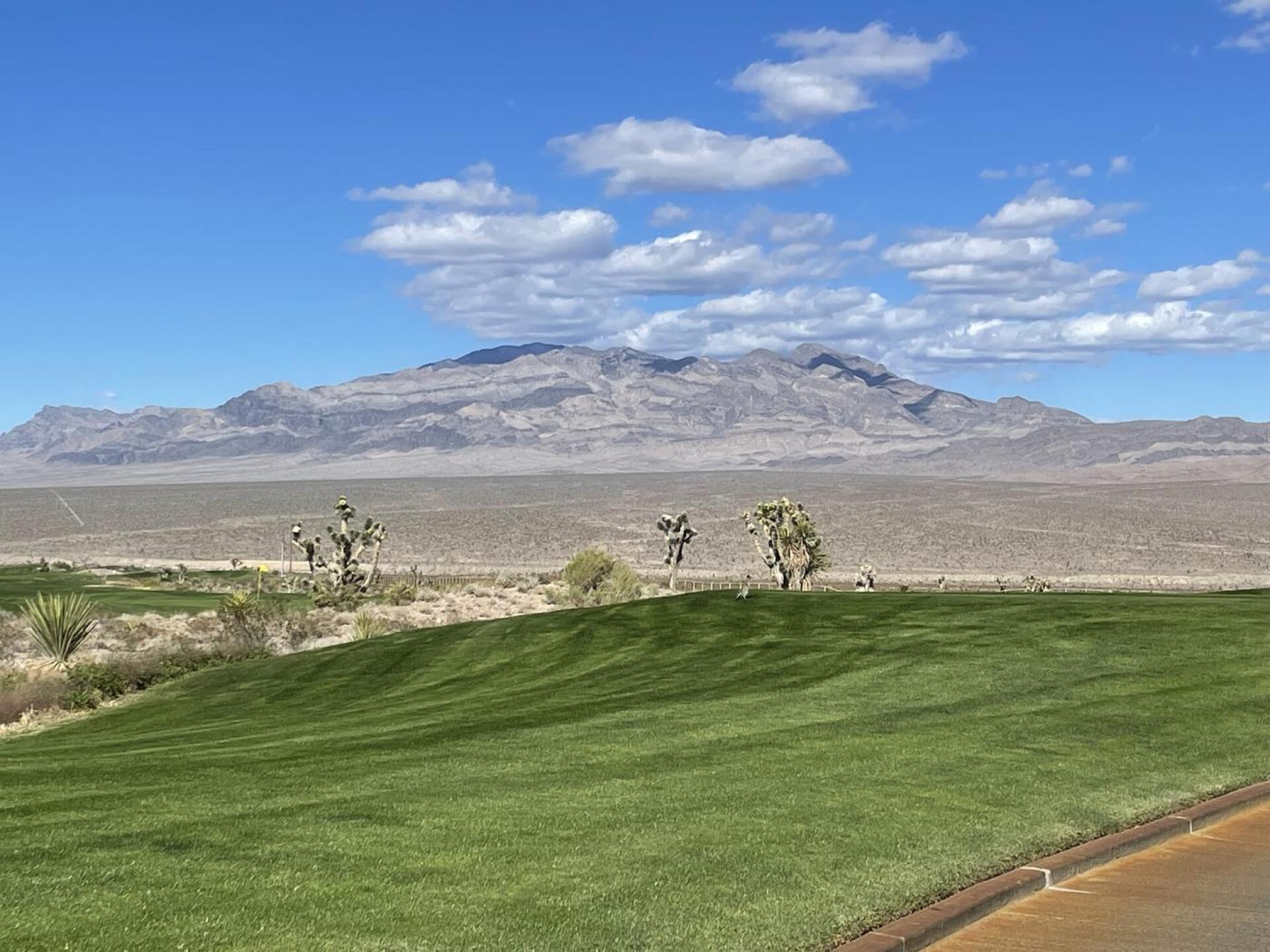 (Photo submitted by u314160958298 on 10/18/2025)