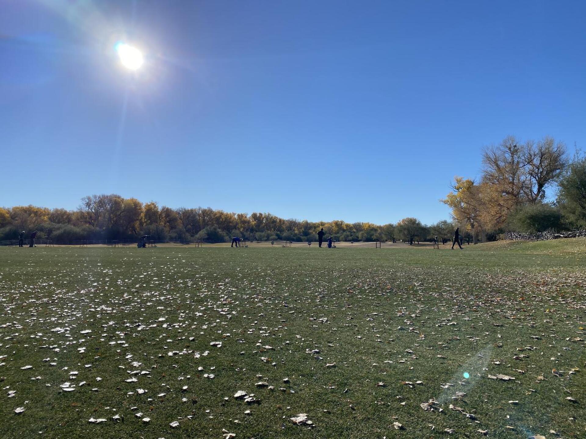 (Photo submitted by u638436251 on 12/27/2020)