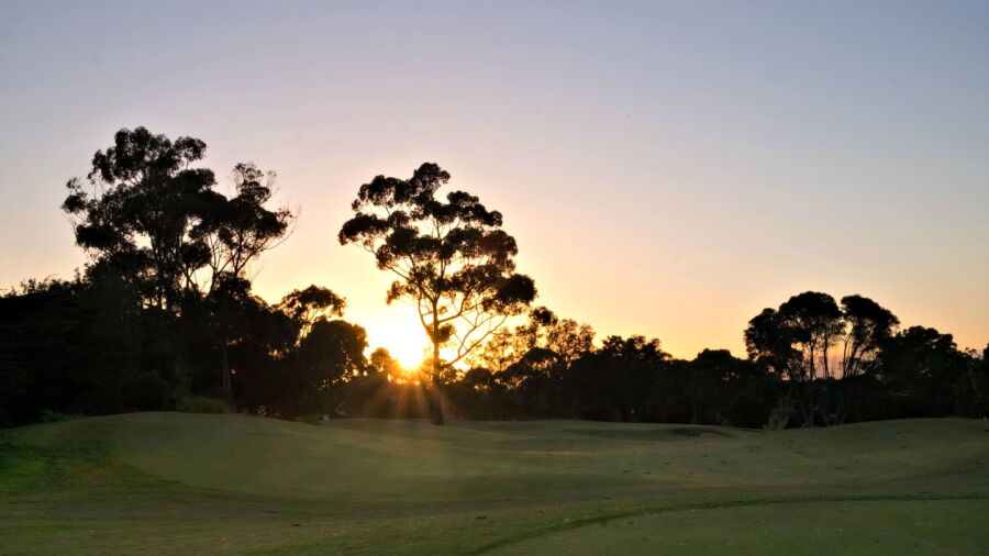 Geelong GC: #8