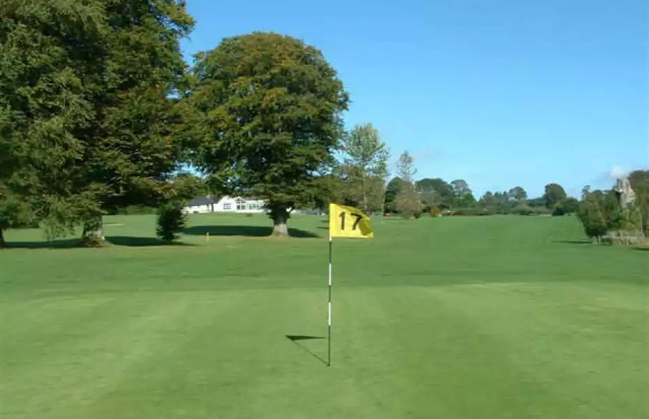 Baltinglass GC: #17