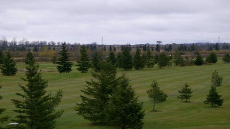 Meadow Land GC